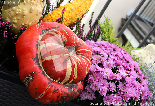 Image of Well decorated terrace with a lot of flowers and vegetables 