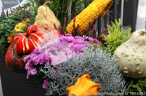 Image of Well decorated terrace with a lot of flowers and vegetables 