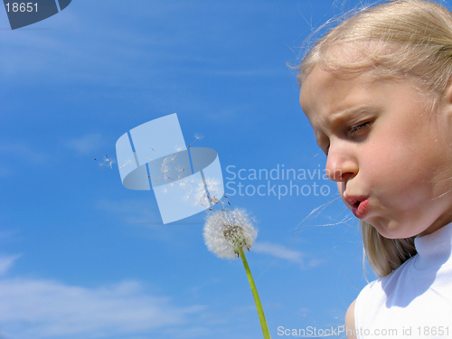 Image of Little girl blows on dandelion