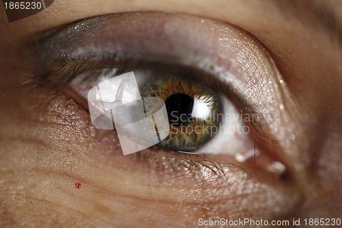 Image of Green eye