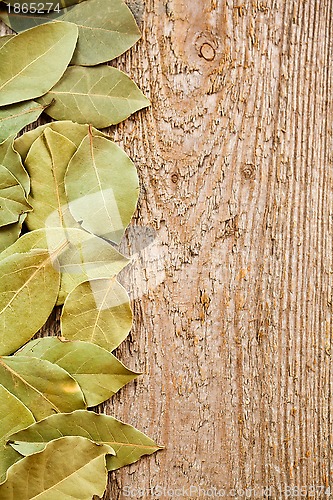 Image of bay leaves