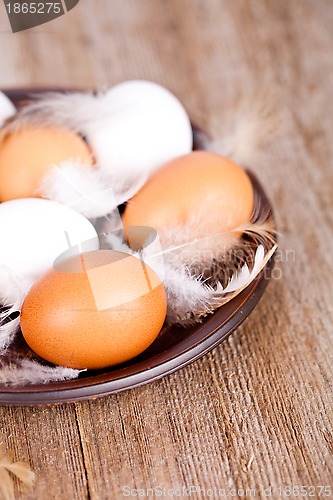 Image of eggs and feathers 