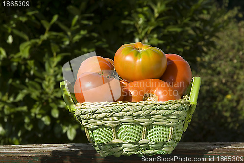 Image of basket salad tomatoes