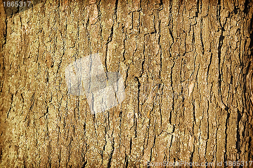 Image of Texture