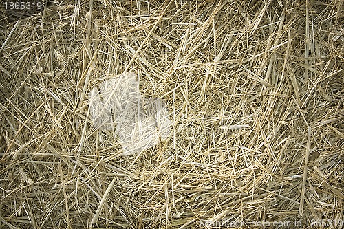 Image of Texture