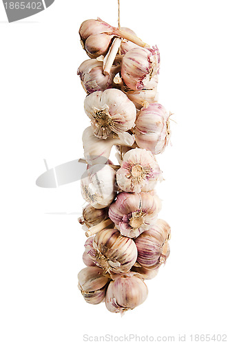 Image of Sheaf of garlic, it is isolated on white