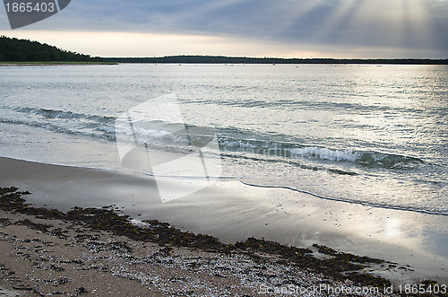 Image of Sandy coast of Baltic sea