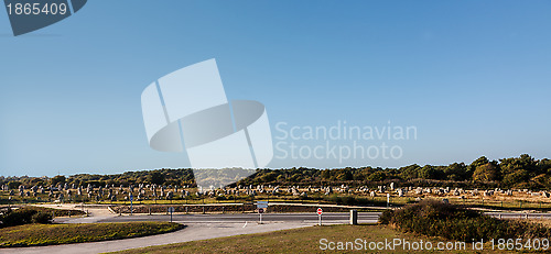 Image of Megalithic Monuments in Carnac