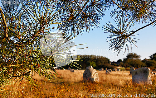 Image of Landscape in Carnac