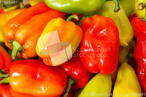 Image of Lot of Multicolored Sweet Pepper background