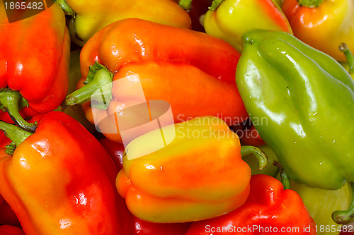 Image of Lot of Multicolored Sweet Pepper background