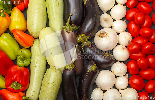 Image of Multicolored Vegetable Variety background