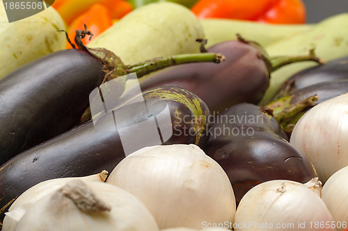 Image of Multicolored Vegetable Variety background