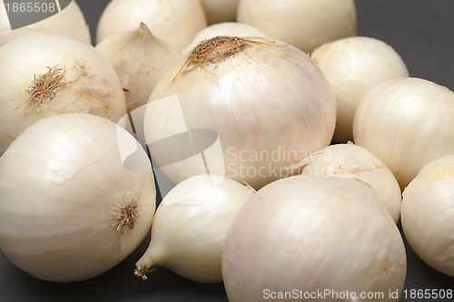 Image of White Onion Bulb