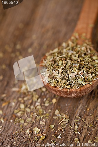 Image of dry oregano in wooden spoon 