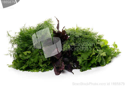 Image of Heap of Fresh Greens