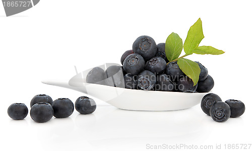 Image of Blueberry Fruit