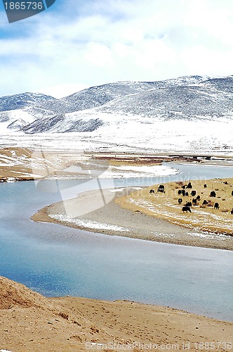 Image of Landscape in winter