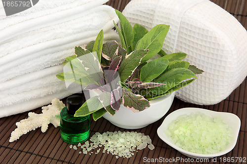 Image of Herb Spa Therapy
