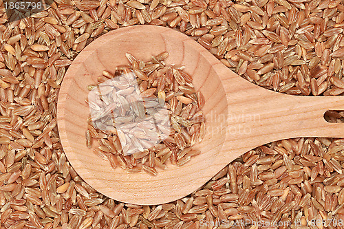Image of Wheat on a wooden spoon