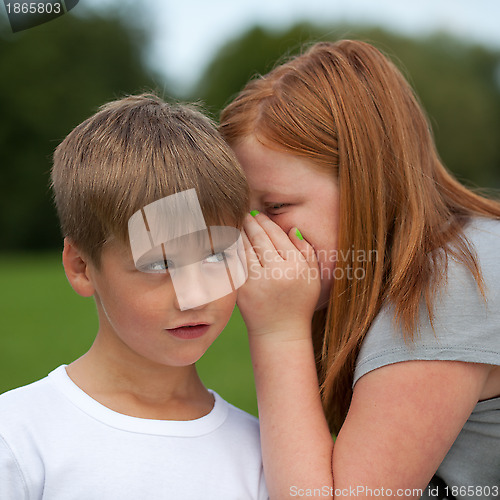 Image of Secret