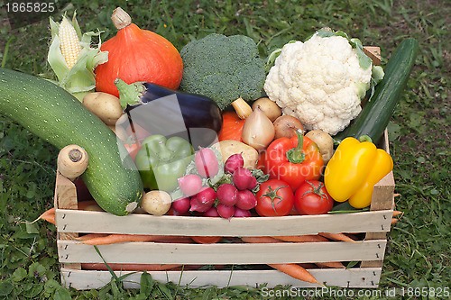 Image of Fresh vegetables in a wooden box