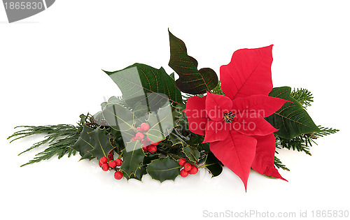 Image of Poinsettia Flower Decoration