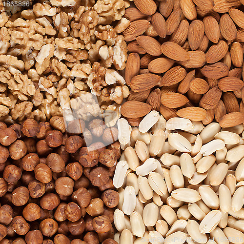 Image of Nuts forming a background