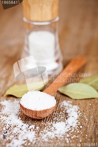 Image of salt and bay leaves 