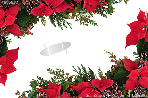 Image of Poinsettia Floral Border