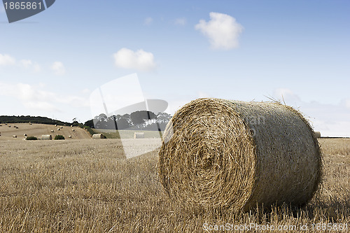 Image of hay bales