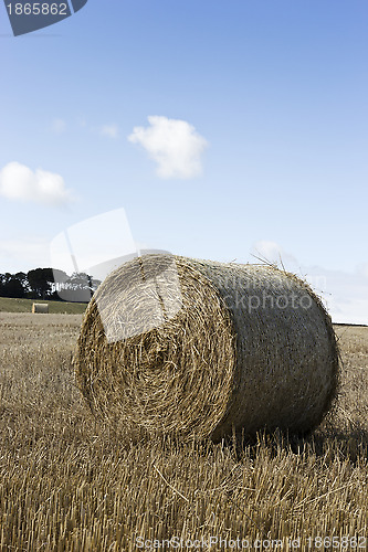 Image of Hay bales