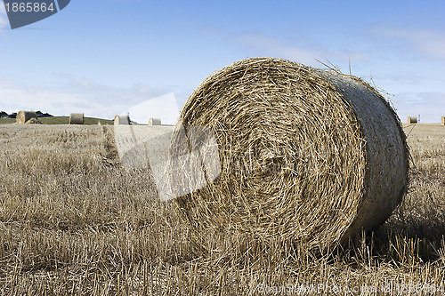 Image of Hay bales