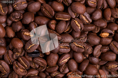 Image of Coffee Beans