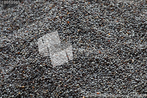 Image of Poppy Seeds as background