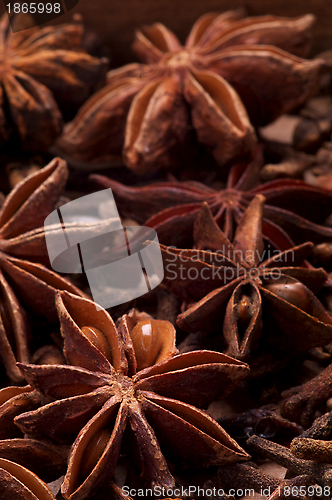 Image of Anise Stars Background