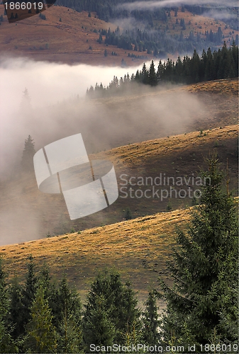 Image of morning mist