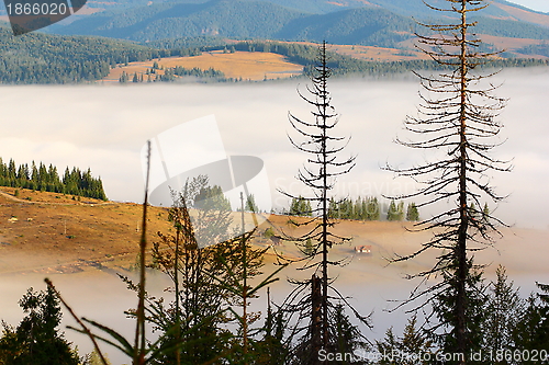 Image of fog in the mountains