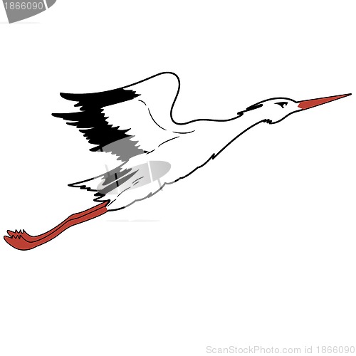 Image of White Stork in flight. vector illustration.