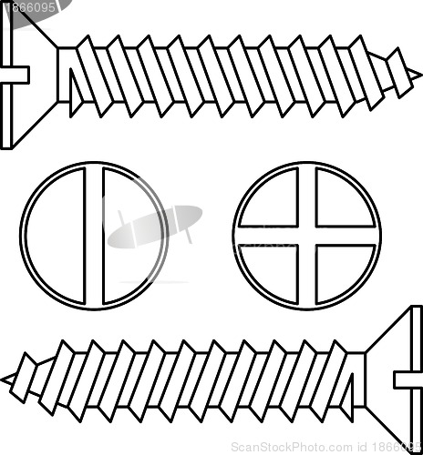 Image of Stainless steel screw. Vector illustration.