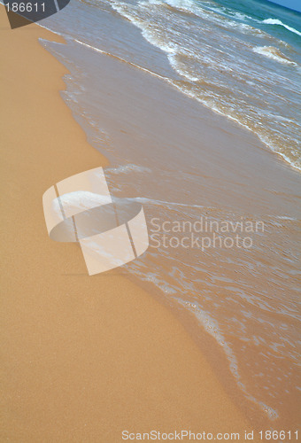 Image of Tropical beach
