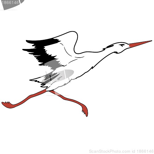 Image of White Stork in flight. vector illustration.