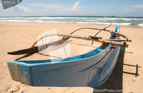 Image of Asian outrigger