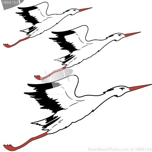 Image of White Stork in flight. vector illustration.