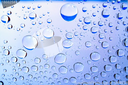 Image of drops