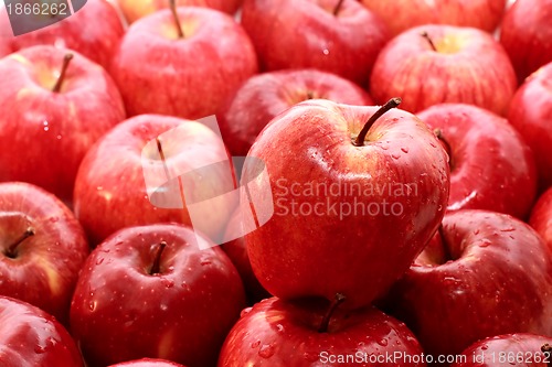 Image of apple