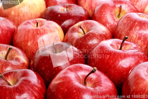 Image of apples