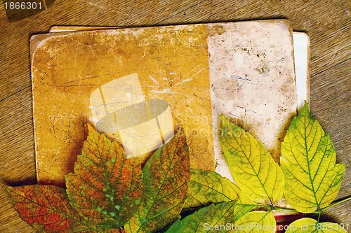Image of autumn
