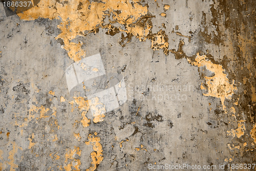 Image of Texture walls