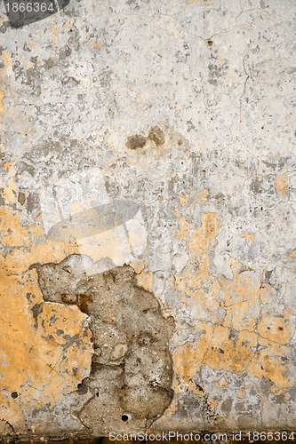 Image of Texture walls